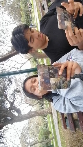 dsfdsfs