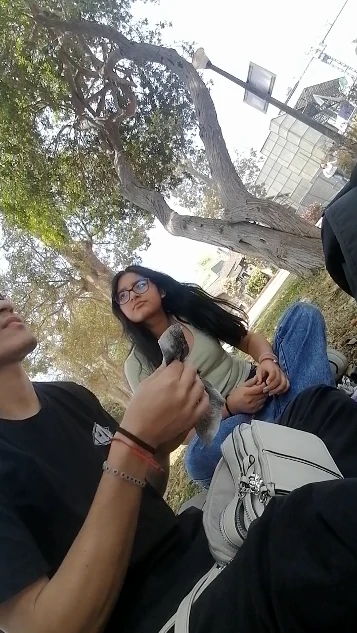 fasfsaf