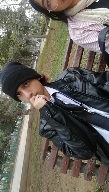 fdsfsd