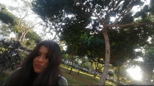 fsadsadas