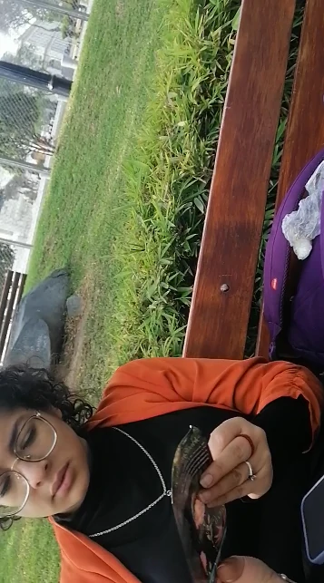 fsadsxaxsa