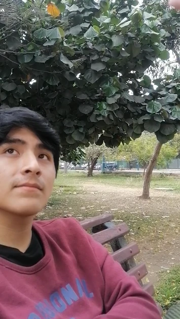 fsafdasasc