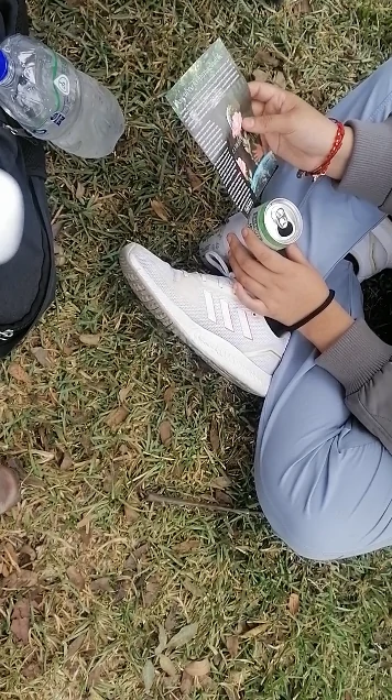 fsafsafsacsa