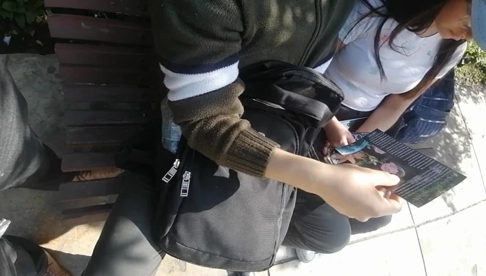 fsafsafsafsa