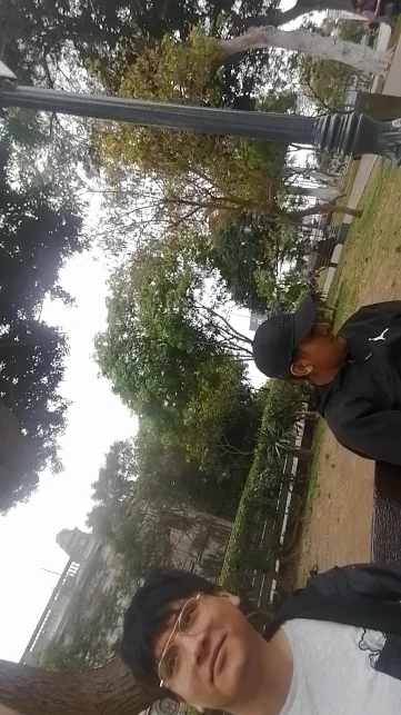 gdgdsg