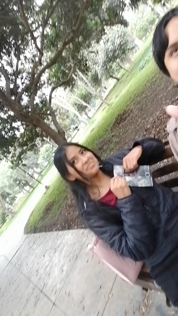 gdsgdsg