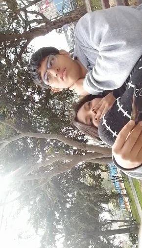 gfdgdfczvc