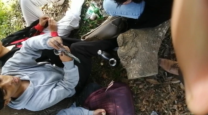 sfsafsafsasa