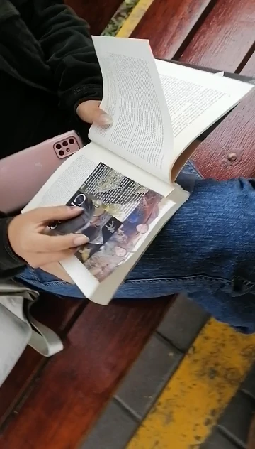 vcxvcx