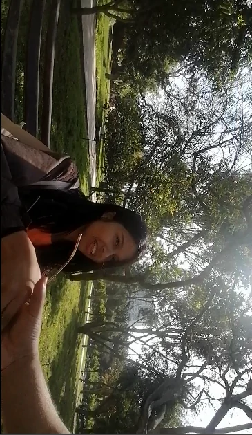 vsafdsadsaf
